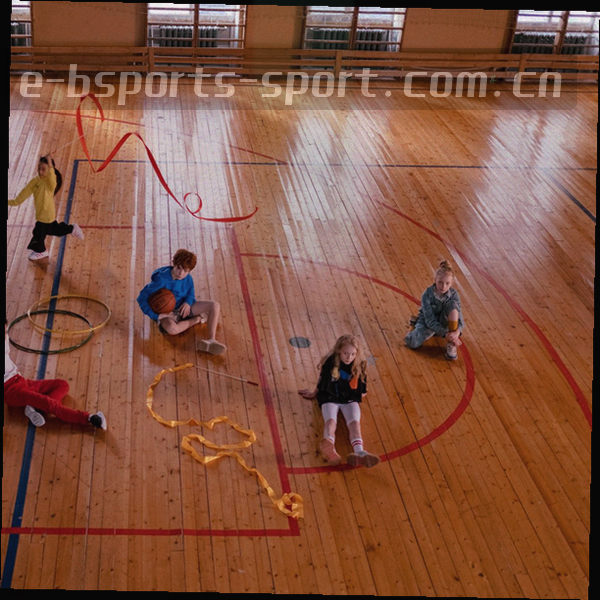 BSPORTS品牌标识抽象图